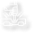 cargo