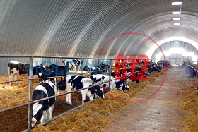 Buildings for agriculture